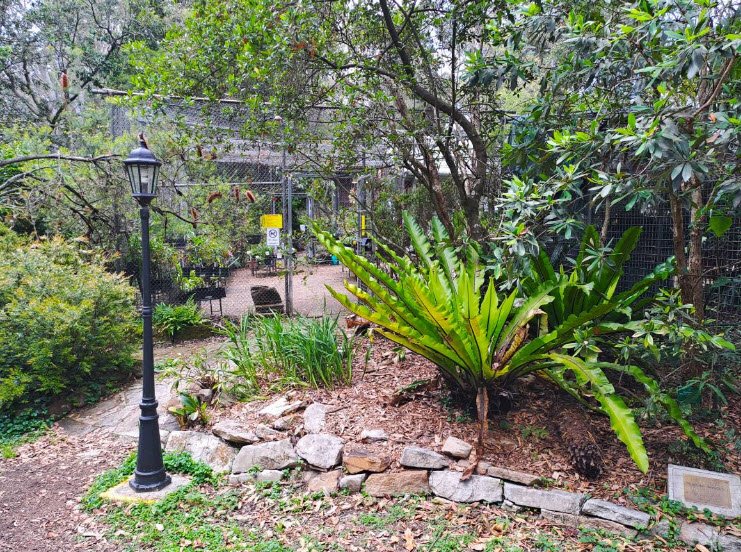 Glenbrook Native Plant Reserve and Nursery, Glenbrook, New South Wales, Australia, Australia